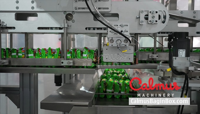 Ramen Noodle Multi-Packet Flow Wrapping & Case Packing Line Fully-automated flow wrapping and ca...