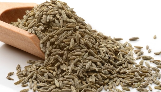 Cumin seeds are available in wide range having pleasant aroma and flavor. Cumin seeds taste good if ...