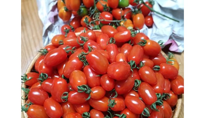 Style: Dried Type: Tomato Drying Process: AD Cultivation Type: COMMON, Greenhouse Part: WHOLE Shape:...