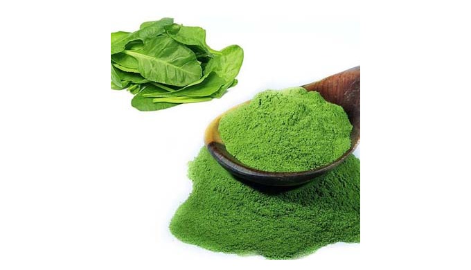 Spinach fine powder is a good source of protein, fiber, antioxidants, and minerals, making it a suit...