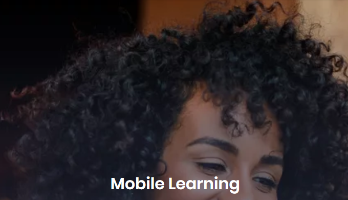 They are designed to enable users to utilize a similar course across devices.
