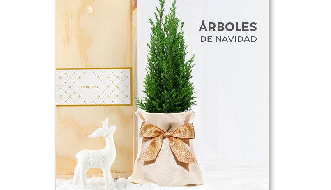ÁRBOLES DE NAVIDAD