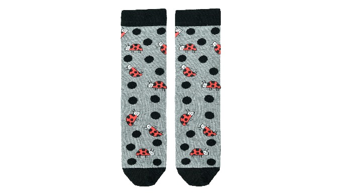 Colorful women's socks in ladybugs