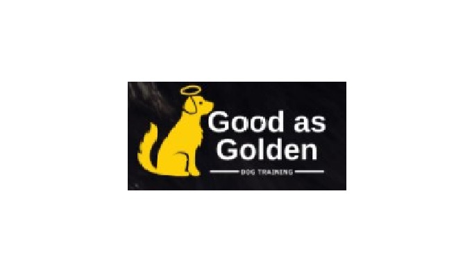 Good as Golden dog training offers a variety of training solutions tailored to the individual needs ...