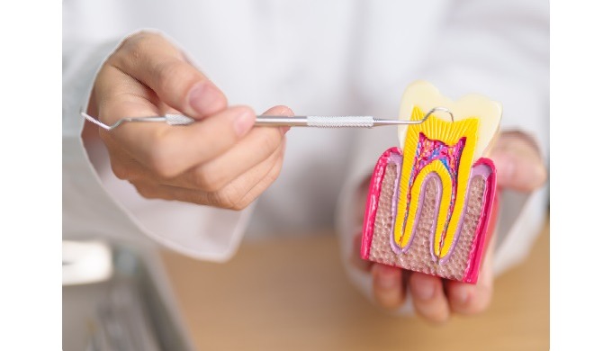 At JE Dental, we offer professional Root Canal treatments in Springvale, ensuring painless and effec...
