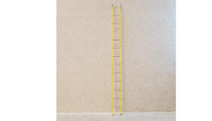 Escalera portátil de poliester reforzado de fibra de vidrio con patas niveladoras y ganchos de asalt...