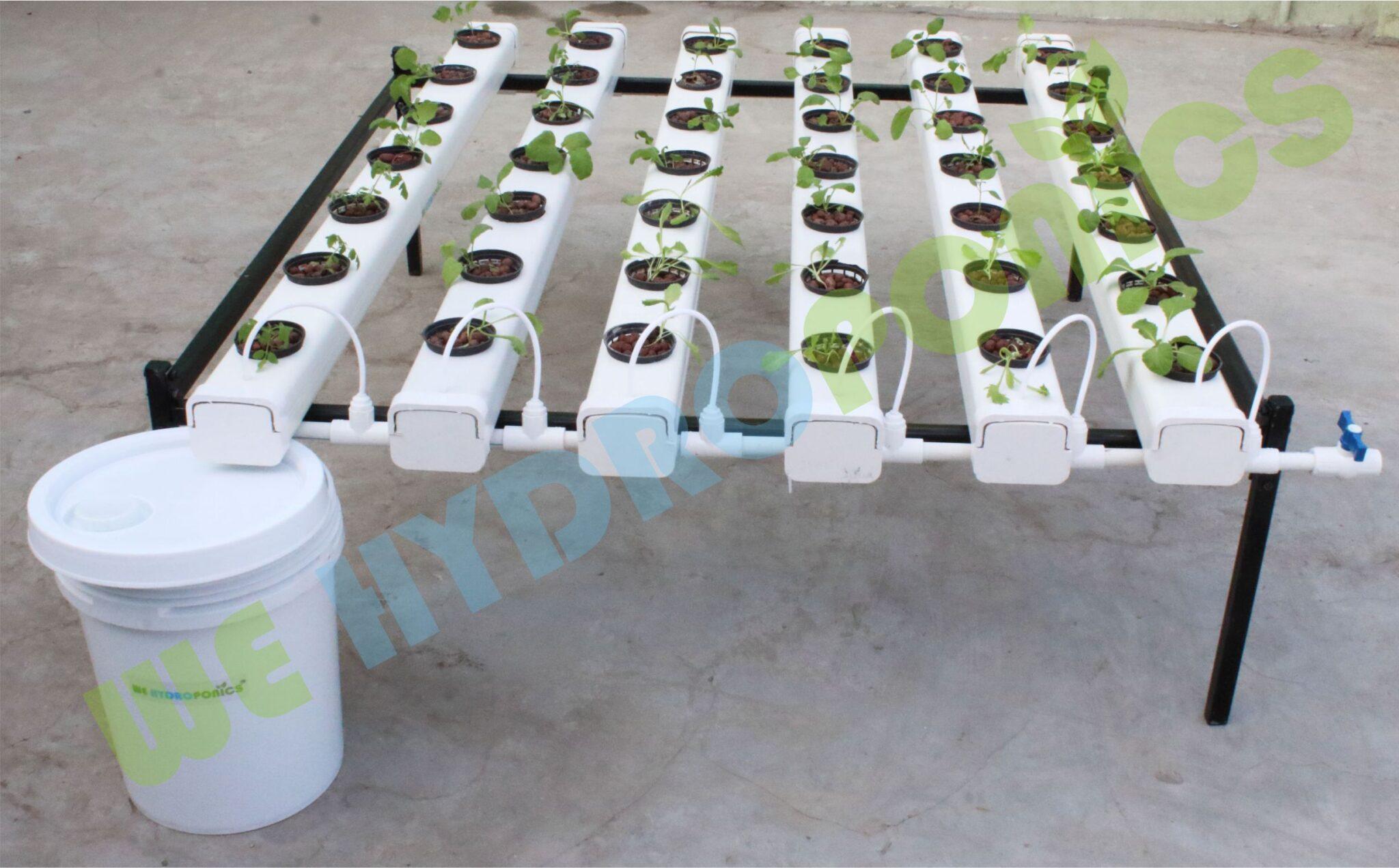 Earth Agro Structures Pvt. Ltd. offers advanced Hydroponic Systems and Accessories designed to trans...