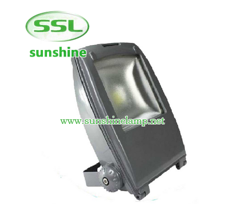 Die-casting aluminum housingAC or DC input optionsOptical grade diffused lensGraduated angle scaleBr...