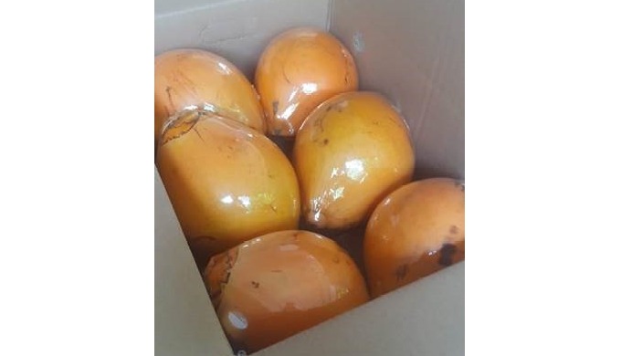 King coconut from Sri Lanka