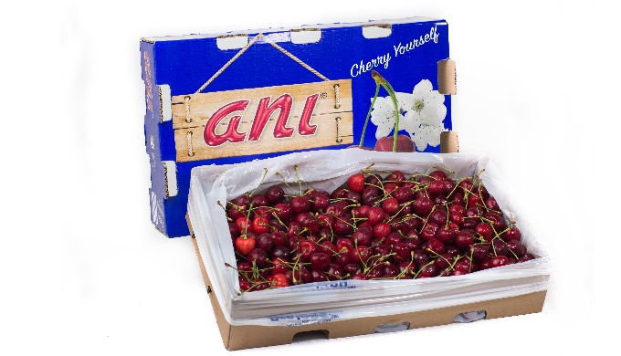 Fresh cherry, brand ANI