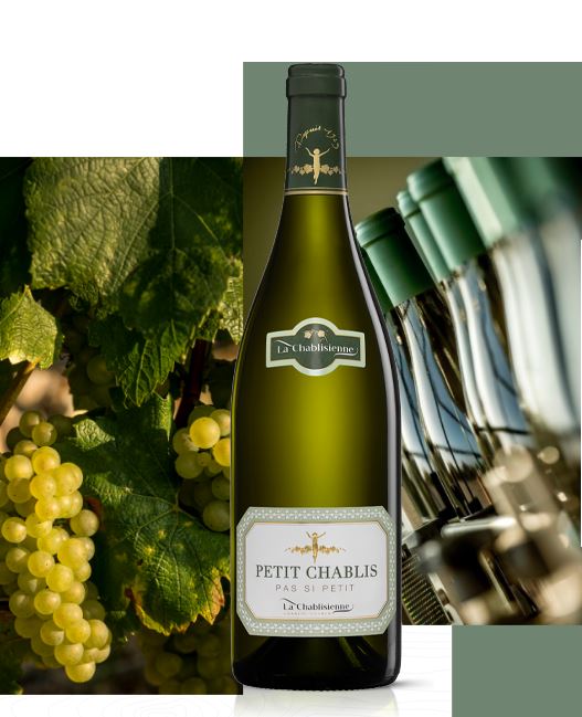 Petit Chablis Pas si Petit
