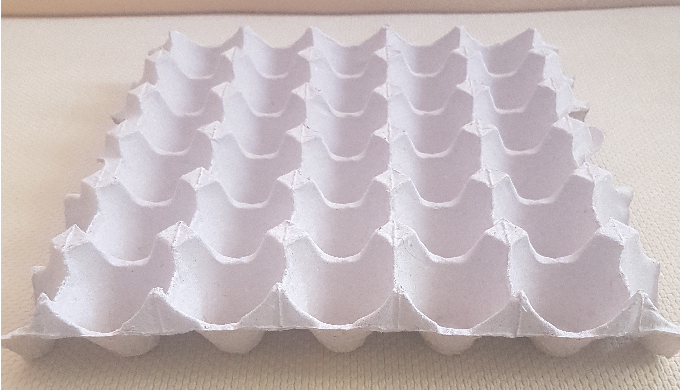 We are producing egg tray, egg box. Our factory is in Konya / Turkey. There are two production lines...