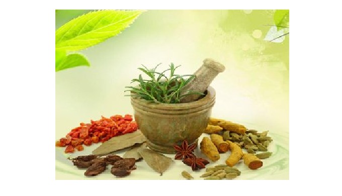 Discover the key to entrepreneurship with a Herbal Products Franchise from Best Herbs. Explore our u...