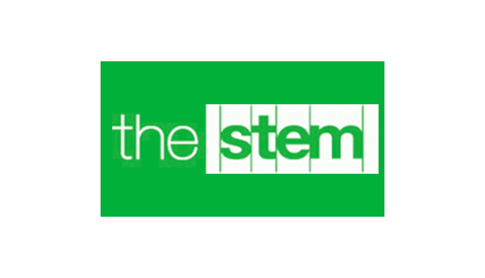 The Stem is a global consulting firm specializing in digital transformation and customer engagement ...