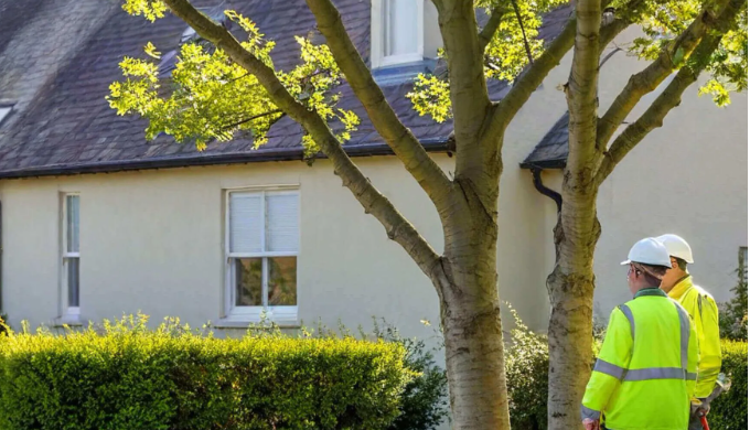 We can help you reduce a tree crown in Rotherham. It’s a tree care service designed to reduce the si...
