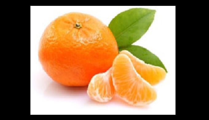 Narenciye-sebze-meyve // MANDALİNA-PORTAKAL-LİMON-PATLICAN-KABAK-PATATES-DOMATES-SOĞAN-KALİFORNİYA B...