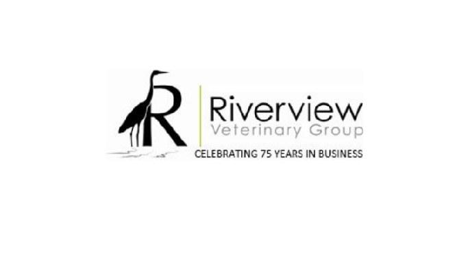 The services of a proficient vet in Carrigaline are just a few clicks away. Our official website is ...