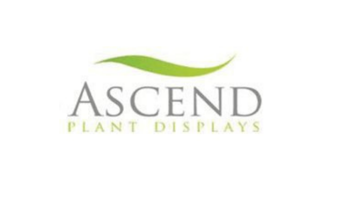 From the initial concept to the finished product, your experience with Ascend Plant Displays is pers...