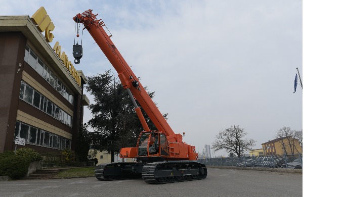 GRUE SUR CHENILLES CW 55.40L