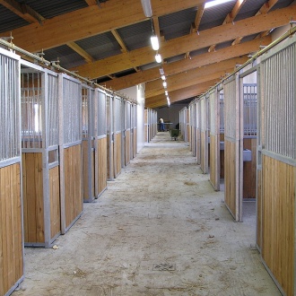 Horse stable boxes