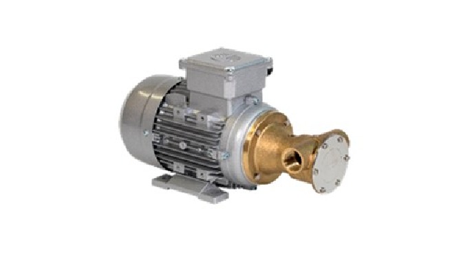 Electro - Bomba F-5 latón de la Serie Industrial