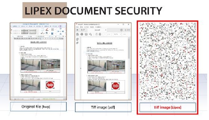 DOCUMENT SECURITY