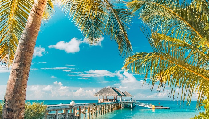 contamos con paquetes turisticos para todo publico, diferentes opcoiones y destinos para ti y tu fam...
