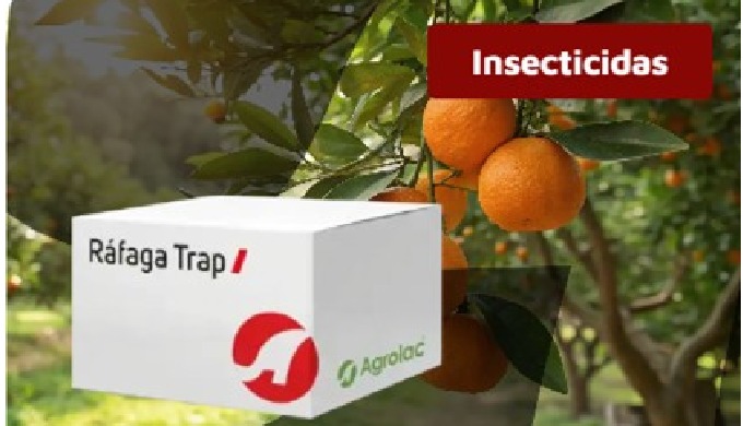 Insekticidi Ráfaga Trap Sustav klopki za praćenje i suzbijanje štetnih kuka...