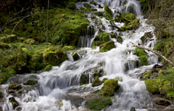 ENVIRONMENTAL ADVICE