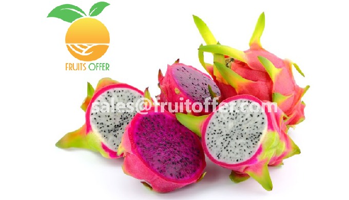 Export Type: Frozen IQF, delivered in Container 20'FCL / 40'FCL Dragon Fruit Type: - White Flesh - R...