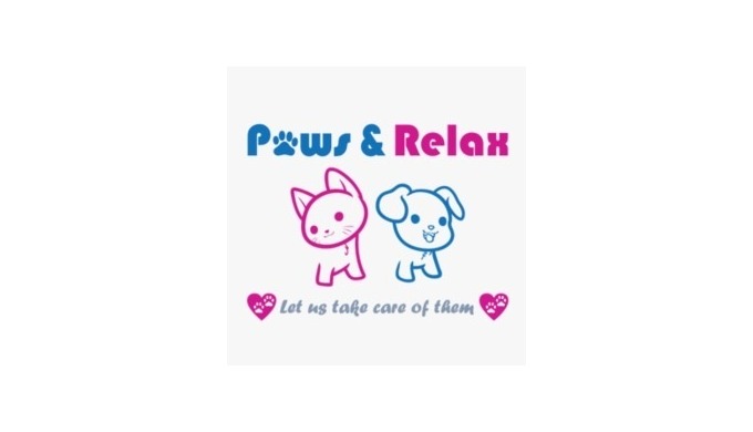 Whenever it comes to pets then the question probs into one’s mind is why to keep pets, what positive...