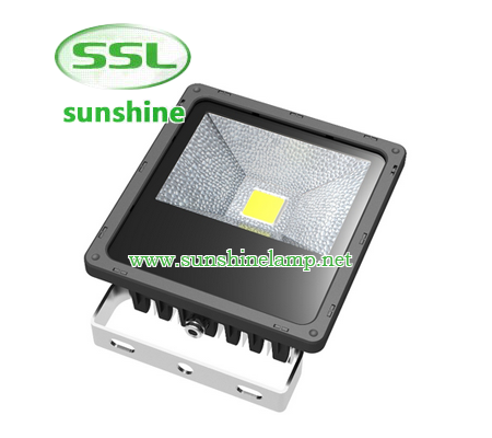 Die-casting aluminum housingAC85~265V input optionsOptical grade diffused lensGraduated angle scaleB...