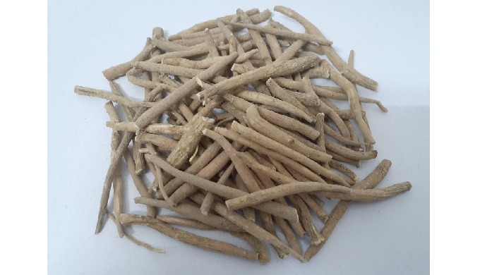 Vernacular names / Synonyms Scientific name: Withania somnifera Arabic: Kaknaj-e-Hindi Assamese: Ash...