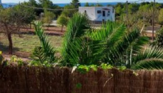 Venta de Inmuebles con frondosa vegetación