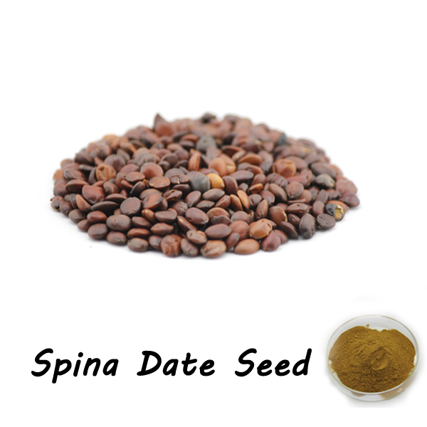 Natural extract from Spina Date Seed, it is good for enhance immunity, commonly seen in health care ...