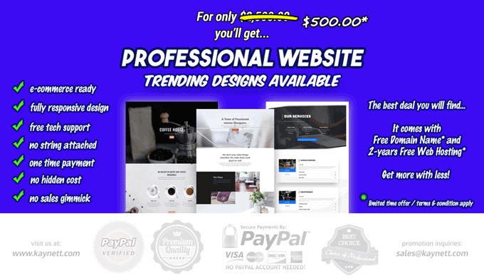 Get A Professional Website