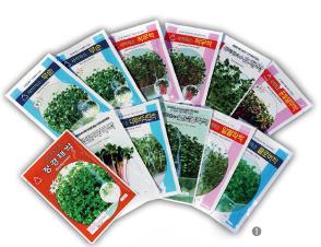 Description : healing vegetable to captivate taste buds all around the world Specification : Asia Se...