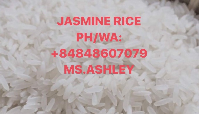 	JASMINE RICE - FAST DELIVERY FROM FACTORY FOR IMPORTERSS (PH/WA: +84848607079 MS ASHLEY)
