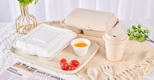 Irene Exports & Imports (INDIA) proudly presents its premium range of Bagasse Tableware, designe...