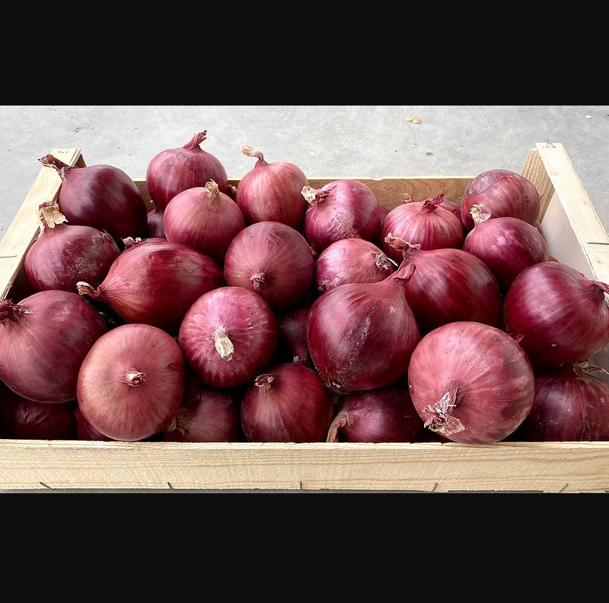 La ferme de la Raye vous présente les oignons Rouges AB 10KG. Nous vous proposons un produit certifi...