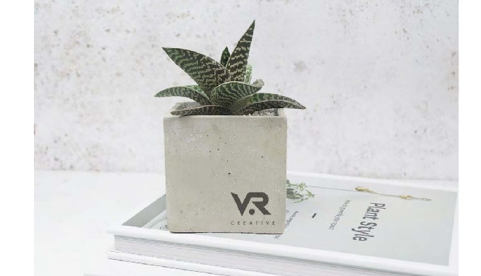 Macetas de cementos con plantas suculentas