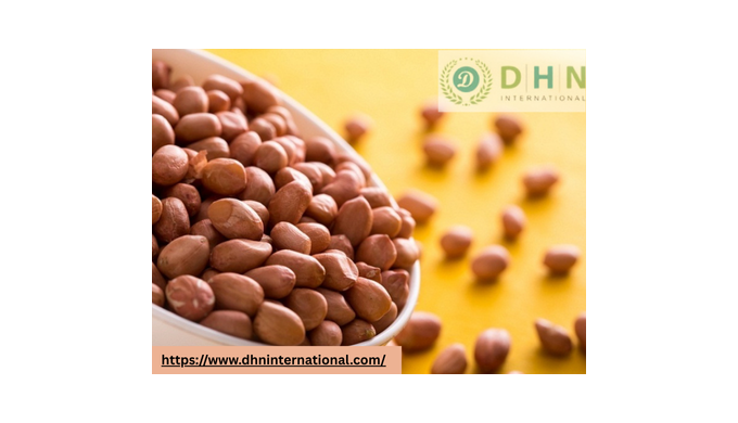 Indian Bold Raw Peanuts – Export Quality | Best Price |DHN international Information: Bold peanuts, ...