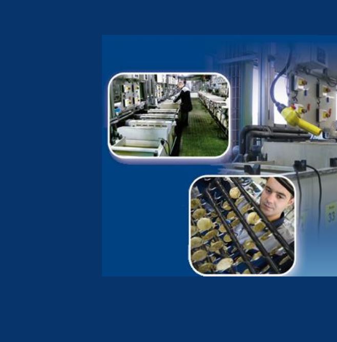 Service Étamage Pur LEGENI