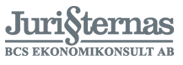 Inom koncernen finns många konsulter som arbetar med ekonomifrågor. Det är rena redovisningsuppdrag,...