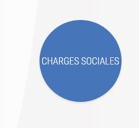 D.L. Developpement : audit social