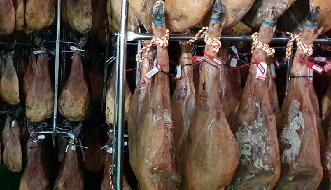 Selección de calidad de Jamones y paletillas, blancas, durocs, ibéricas cebo, cebo campo y bellota d...