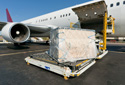 Servicii de transport aerian:Importuri si exporturi aeriene din/cate orice destinatie, livrari in re...