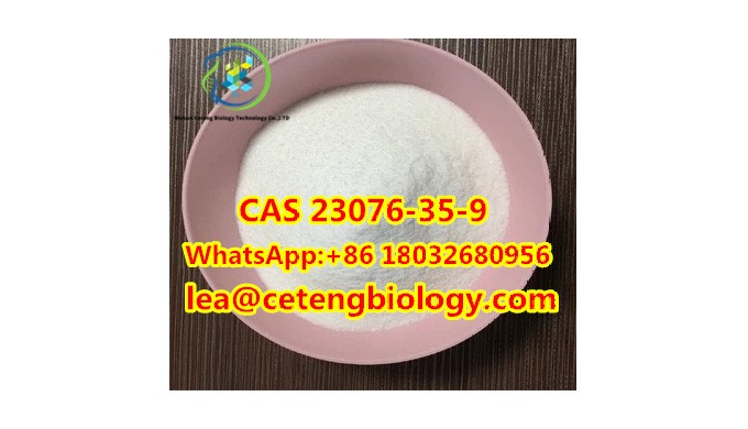 Factory Price Bmk Glycidic Acid Sodium Salt CAS 5449-12-7 New Bmk Xylazine cas 7361-61-7 Xylazine HC...