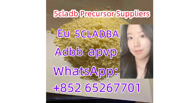 We have many products with low price and good quality, if you need, please contact me: whatsApp：+852...