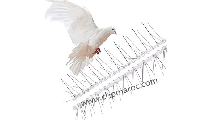 Nous proposons une gamme étendue de répulsifs et solutions anti-oiseaux ou anti-pigeons discrets, re...